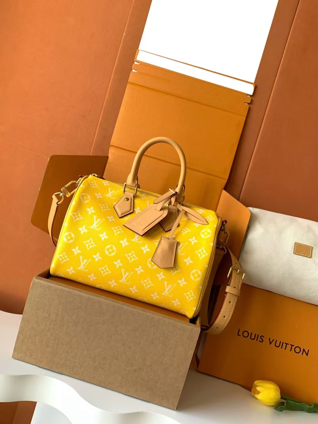 Louis Vuitton Speedy P-9 Bandouliere 30 Handbag