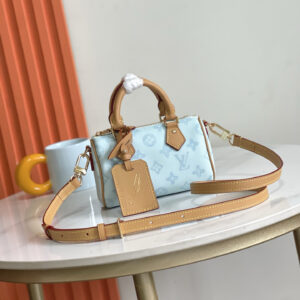 Louis Vuitton Speedy Handbag