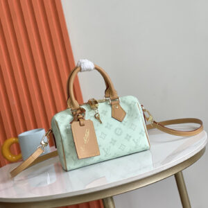 Louis Vuitton Speedy Bandoulière 20 Handbag