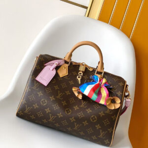 Louis Vuitton Speedy Soft 30 Boho Monogram Handbag