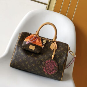 Speedy Soft 30 Boho Handbag in Bird-Motif Monogram Canvas