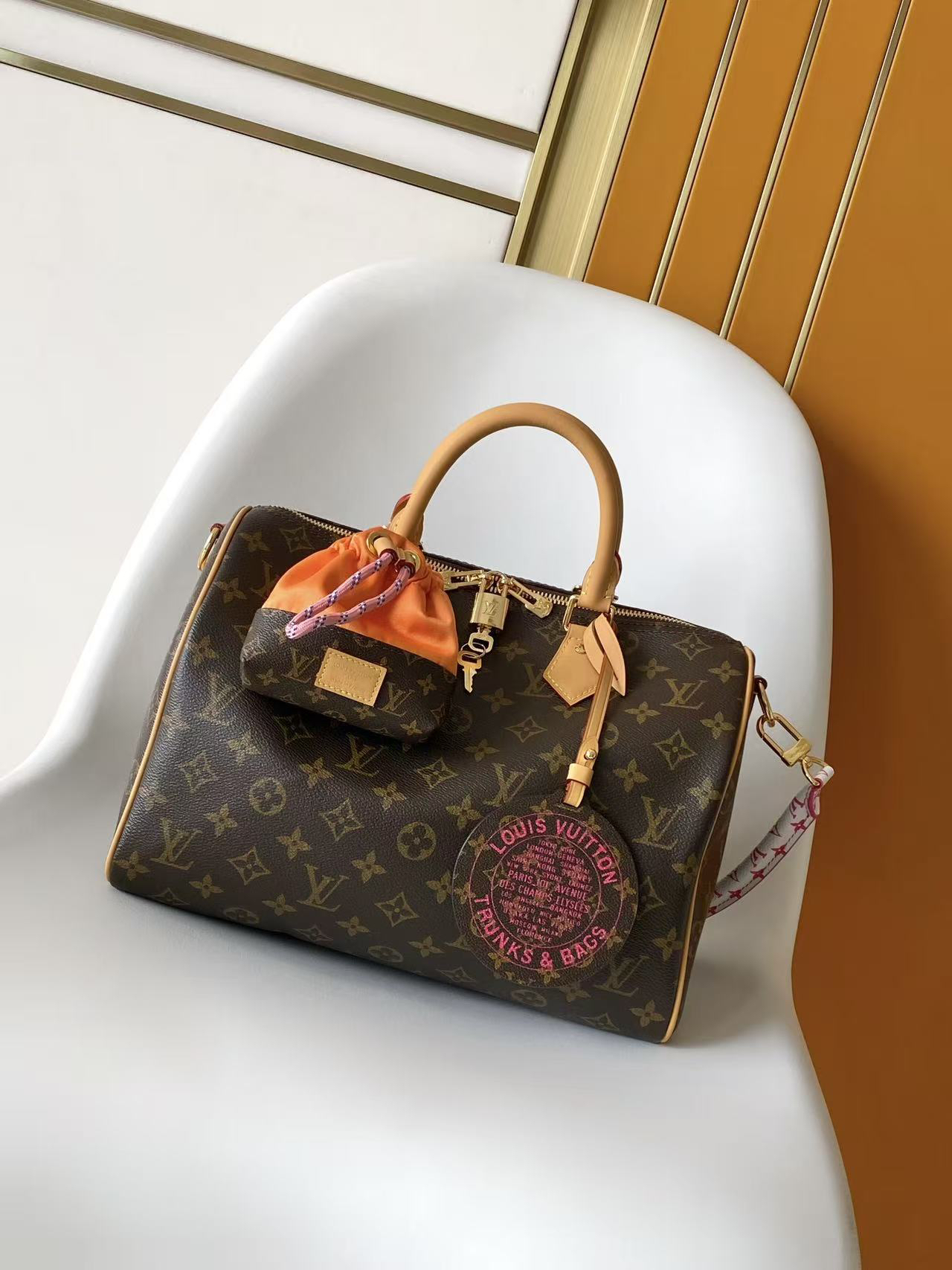 Speedy Soft 30 Boho Handbag in Bird-Motif Monogram Canvas
