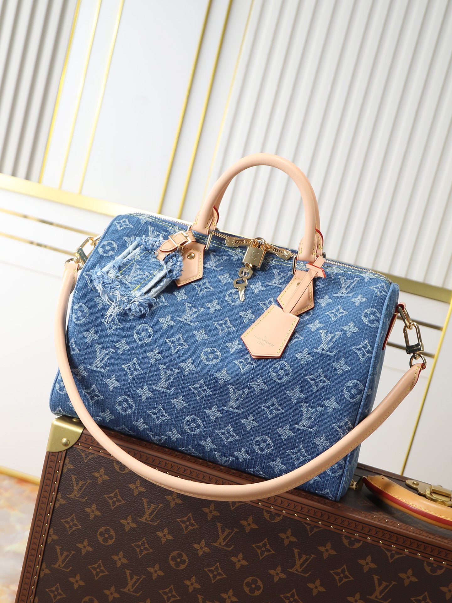 Louis Vuitton Speedy Soft 30 Denim Handbag