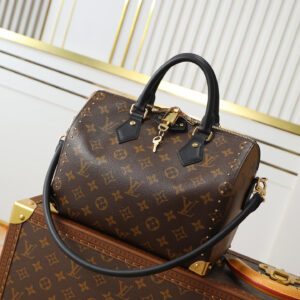 Louis Vuitton Speedy 25 Trunk Series Pillow Bag
