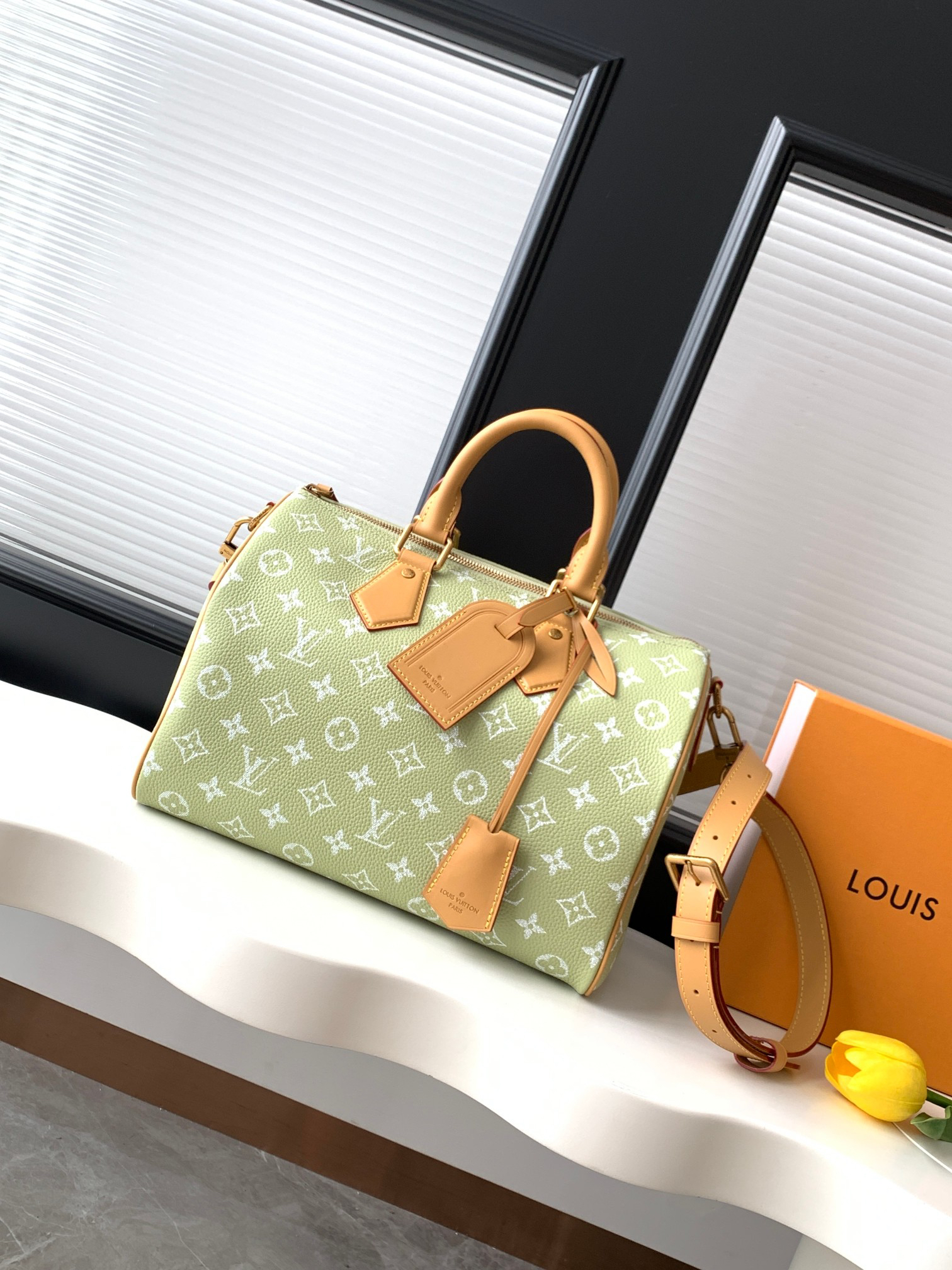 Speedy P9 Bandoulière 30 Handbag in Grass Green
