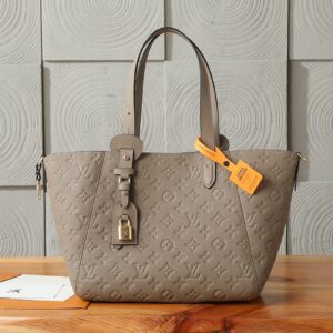 Louis Vuitton All In One Small Handbag