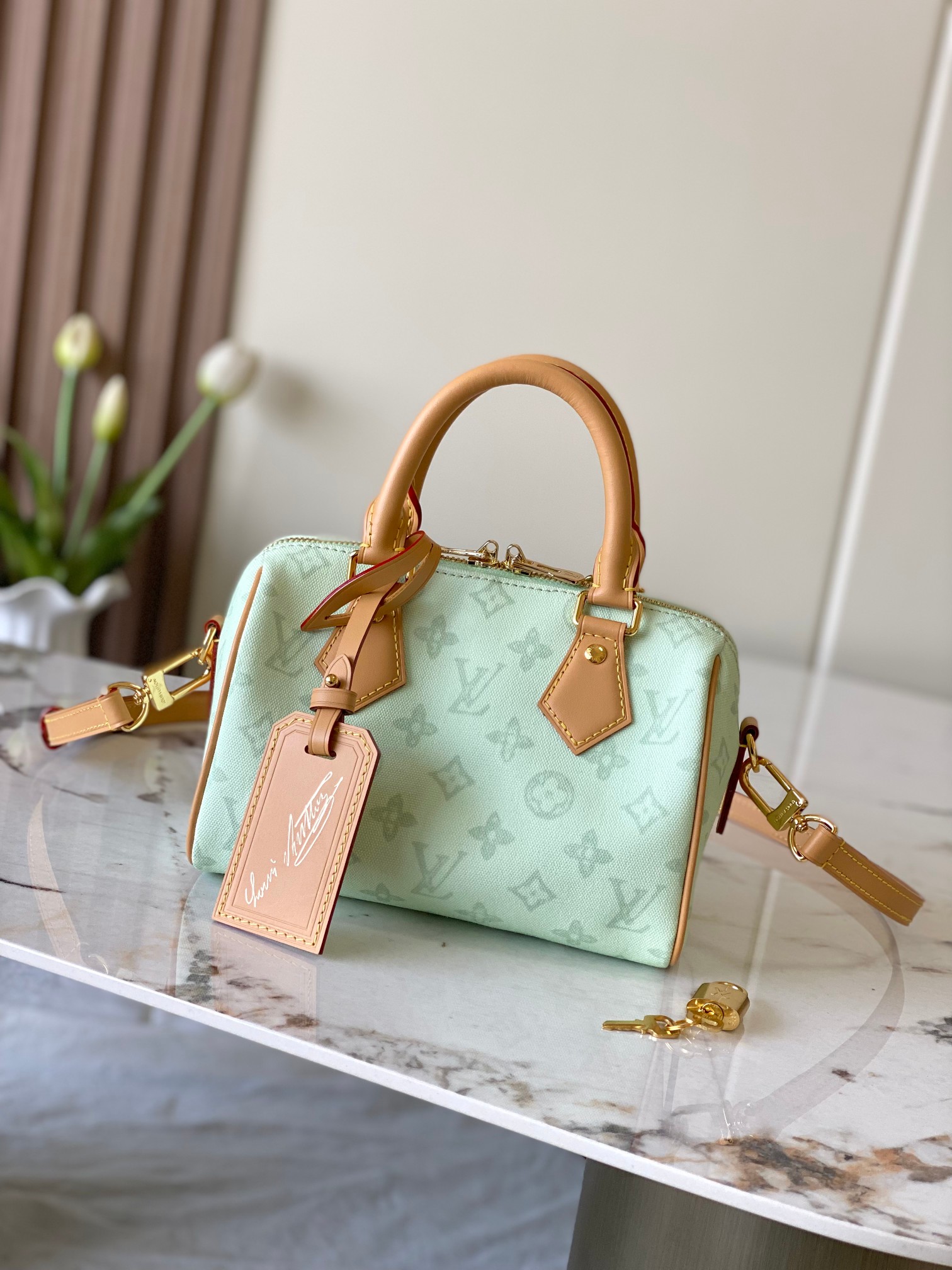 Speedy Bandoulière 20 Handbag M27530