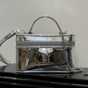 Louis Vuitton Vanity Chain Pouch Silver