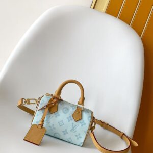Louis Vuitton Nano Speedy Monogram Handbag