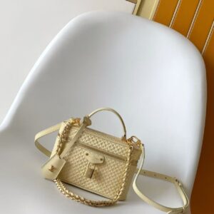 Louis Vuitton Vanity Chain Pouch M29051 / M29344