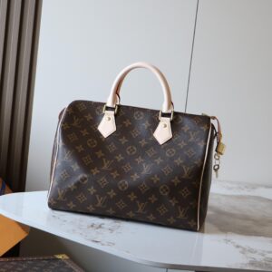 Speedy Handbag in Damier Canvas