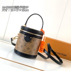 Louis Vuitton Vanity Handbag in Monogram Canvas