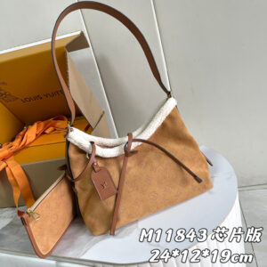 Louis Vuitton LV Ski CarryAll Small Handbag
