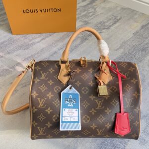 Louis Vuitton Speedy Soft 30 Boho Handbag