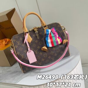 Louis Vuitton Speedy Soft 30 Handbag in Monogram Eclipse Canvas