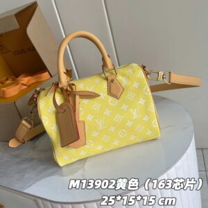 Speedy P9 Bandoulière 25 Monogram Leather Handbag