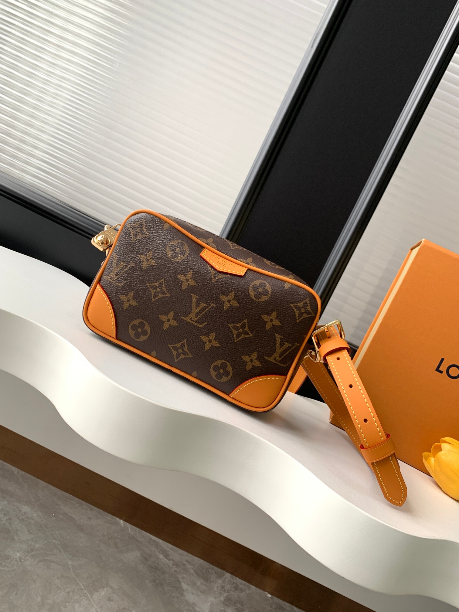 Louis Vuitton Trocadéro Mini Crossbody Bag
