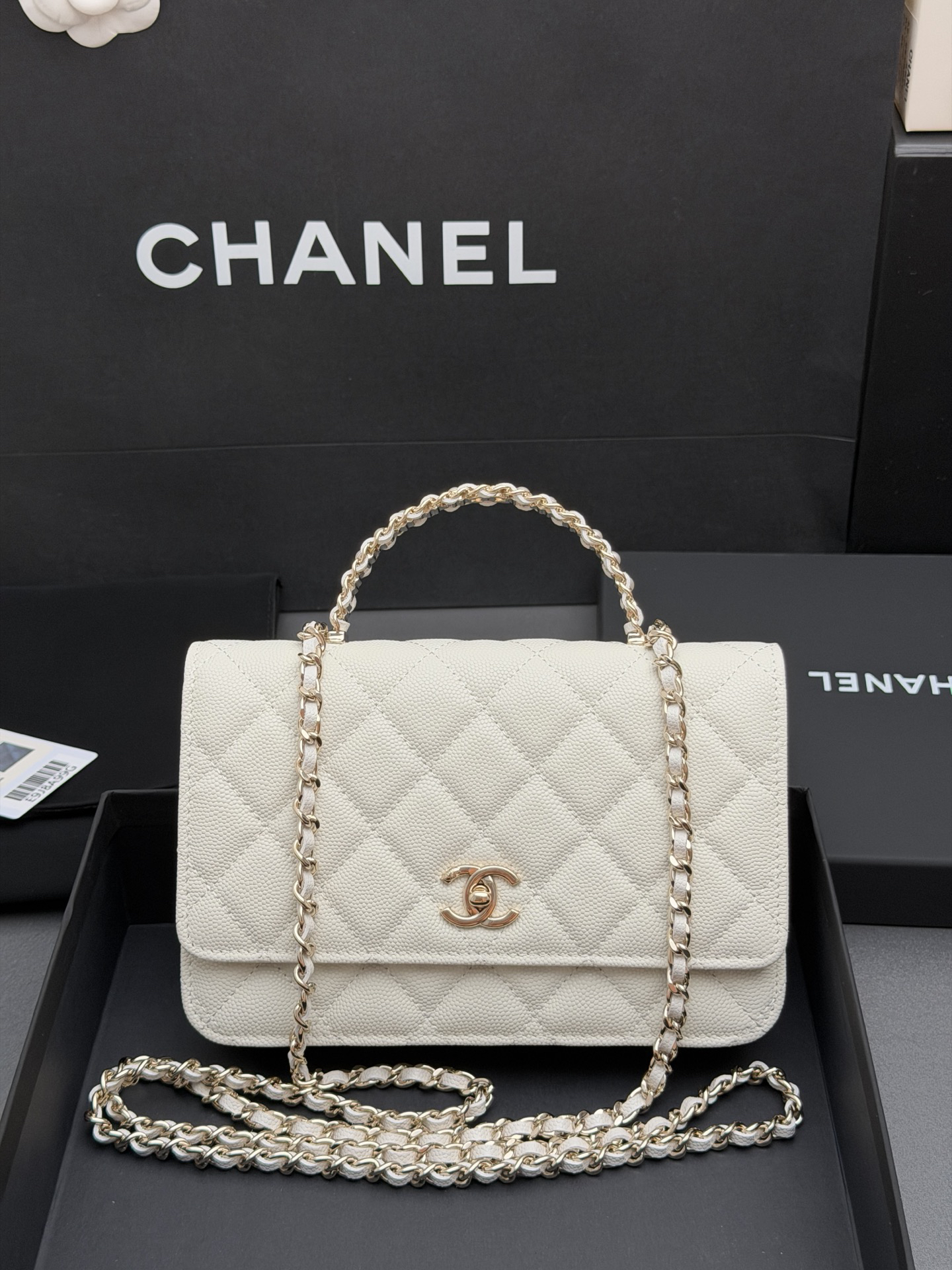 26C WOC Pearl-Handle Chain Bag