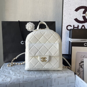 Chanel Small Double Shoulder Bag