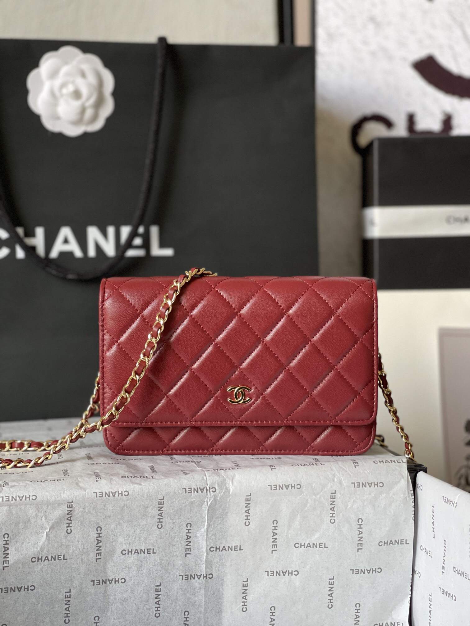 CF WOC Series Italian Lambskin Chain Shoulder Bag