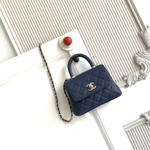 Chanel Coco Handle Classic Top-Handle Handbag AS4244