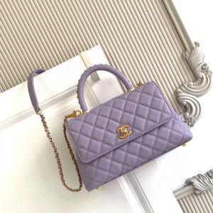 Chanel Coco Handle Classic Top-Handle Handbag