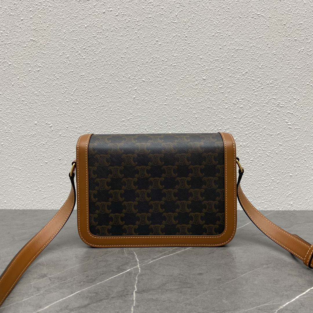 Celine Triomphe Limited-Edition Crossbody Bag - Image 2