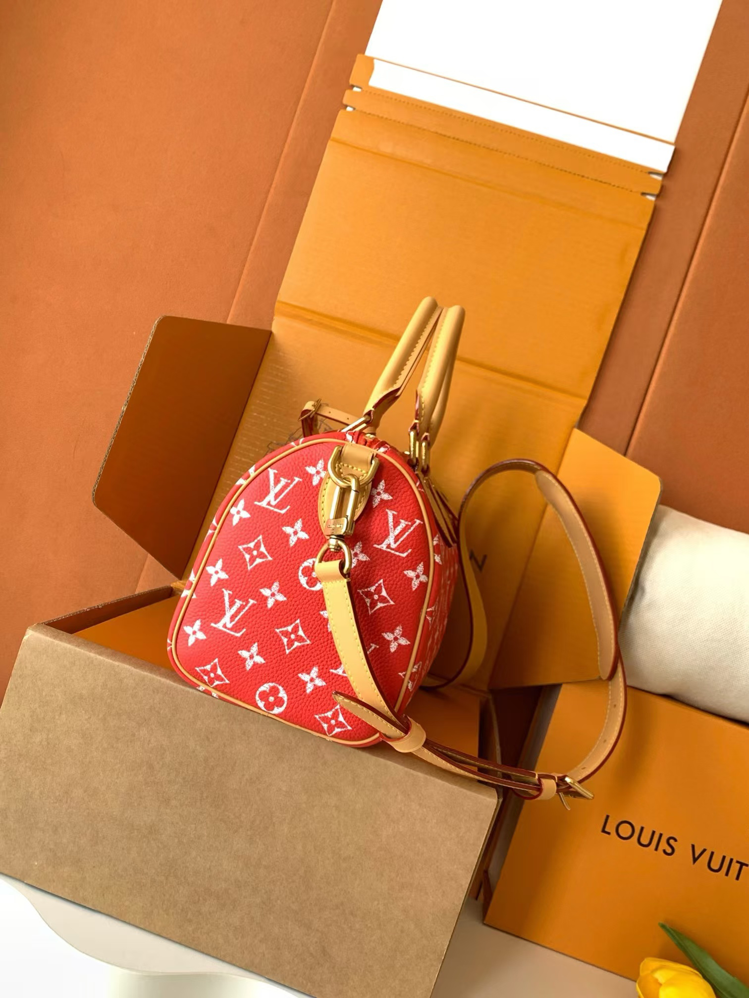 Louis Vuitton Speedy Bandouliere 25 Monogram Leather Bag - Image 2
