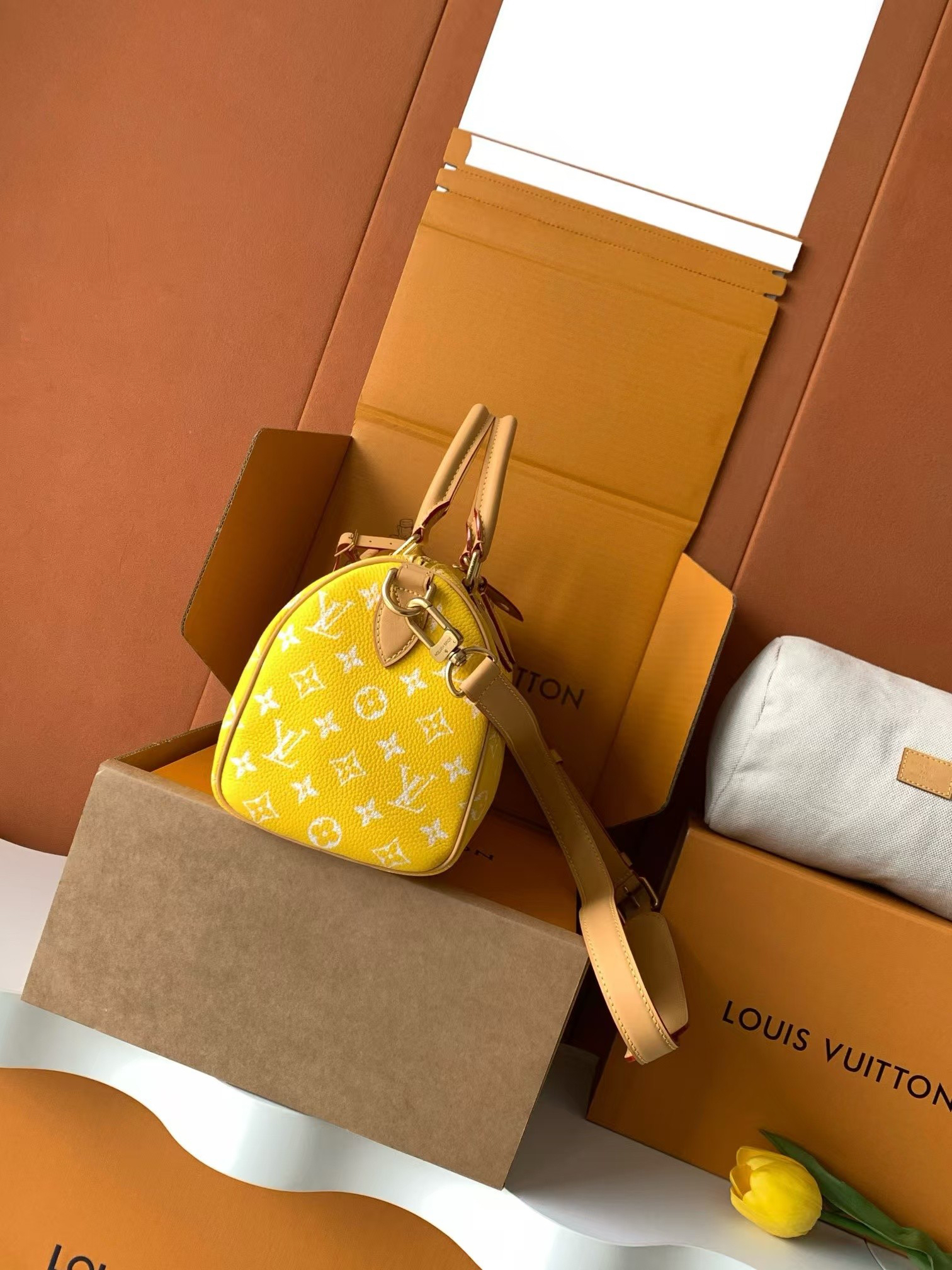 Louis Vuitton Speedy Bandoulière 25 Monogram Leather Crossbody Bag - Image 2