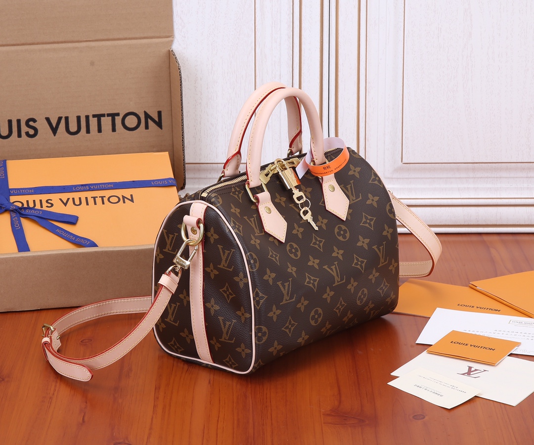 Louis Vuitton Speedy 25 Monogram Handbag - Image 2