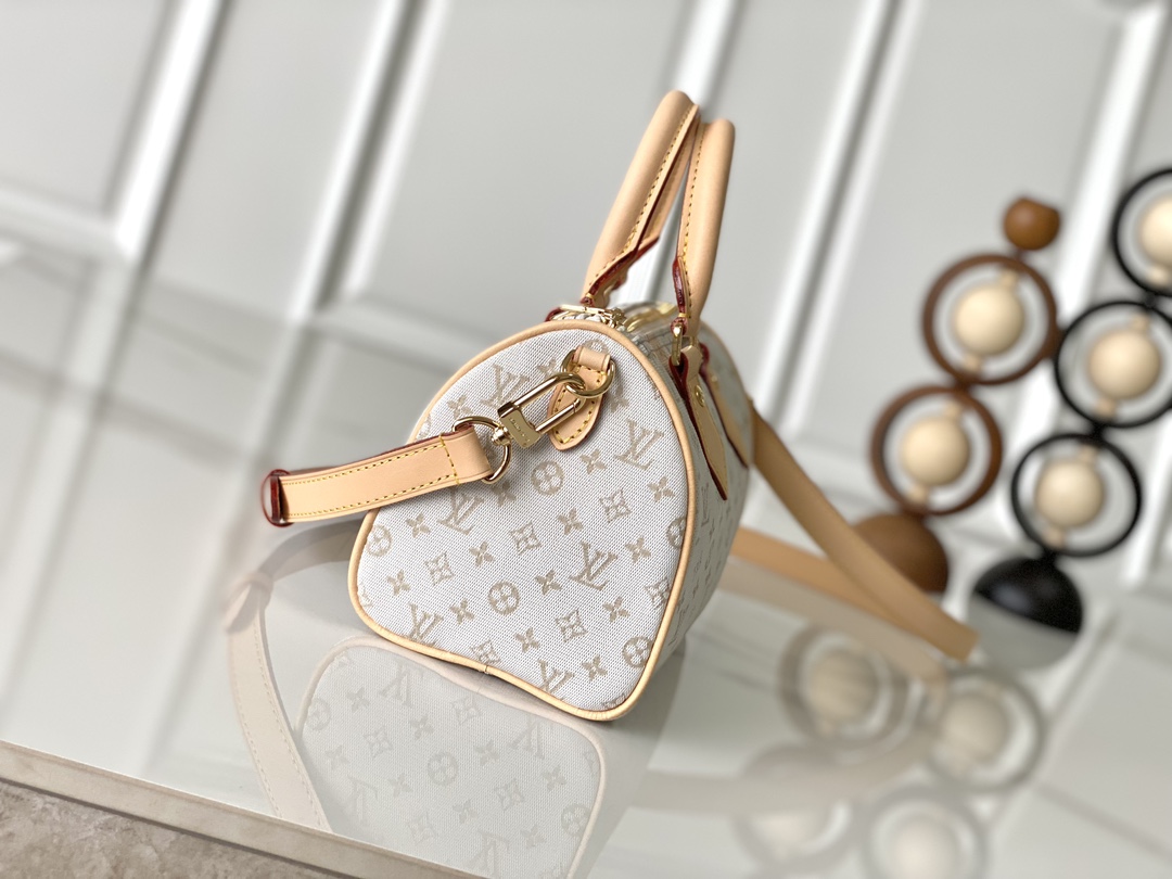 Louis Vuitton Speedy Bandouliere 20 Handbag - Image 2