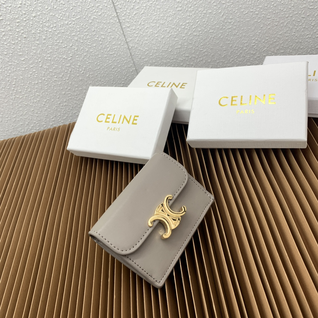 CELINE Triomphe Card Holder in Coated Canvas - Image 2