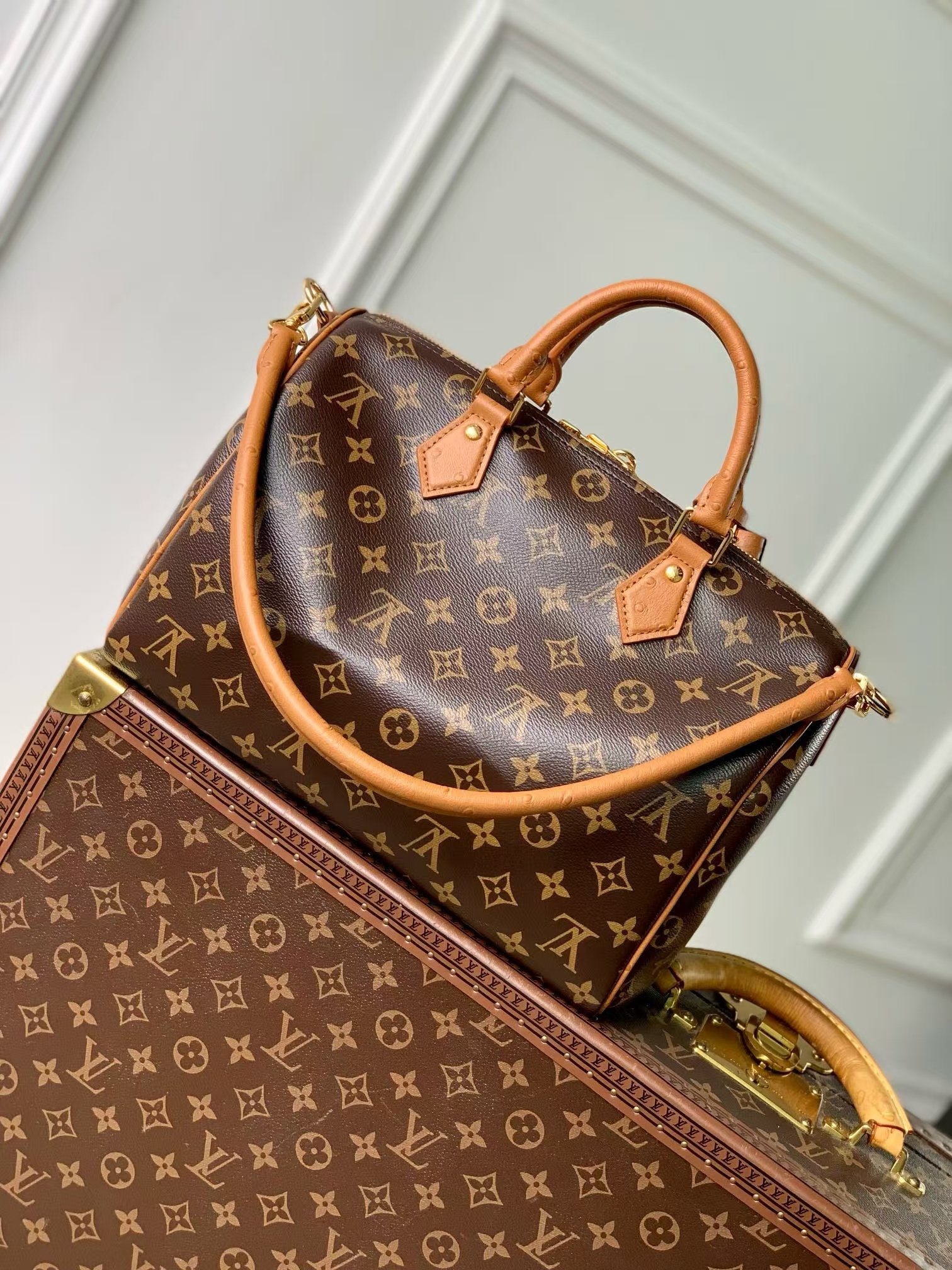 Louis Vuitton Speedy Soft 30 Dark Monogram Handbag - Image 3