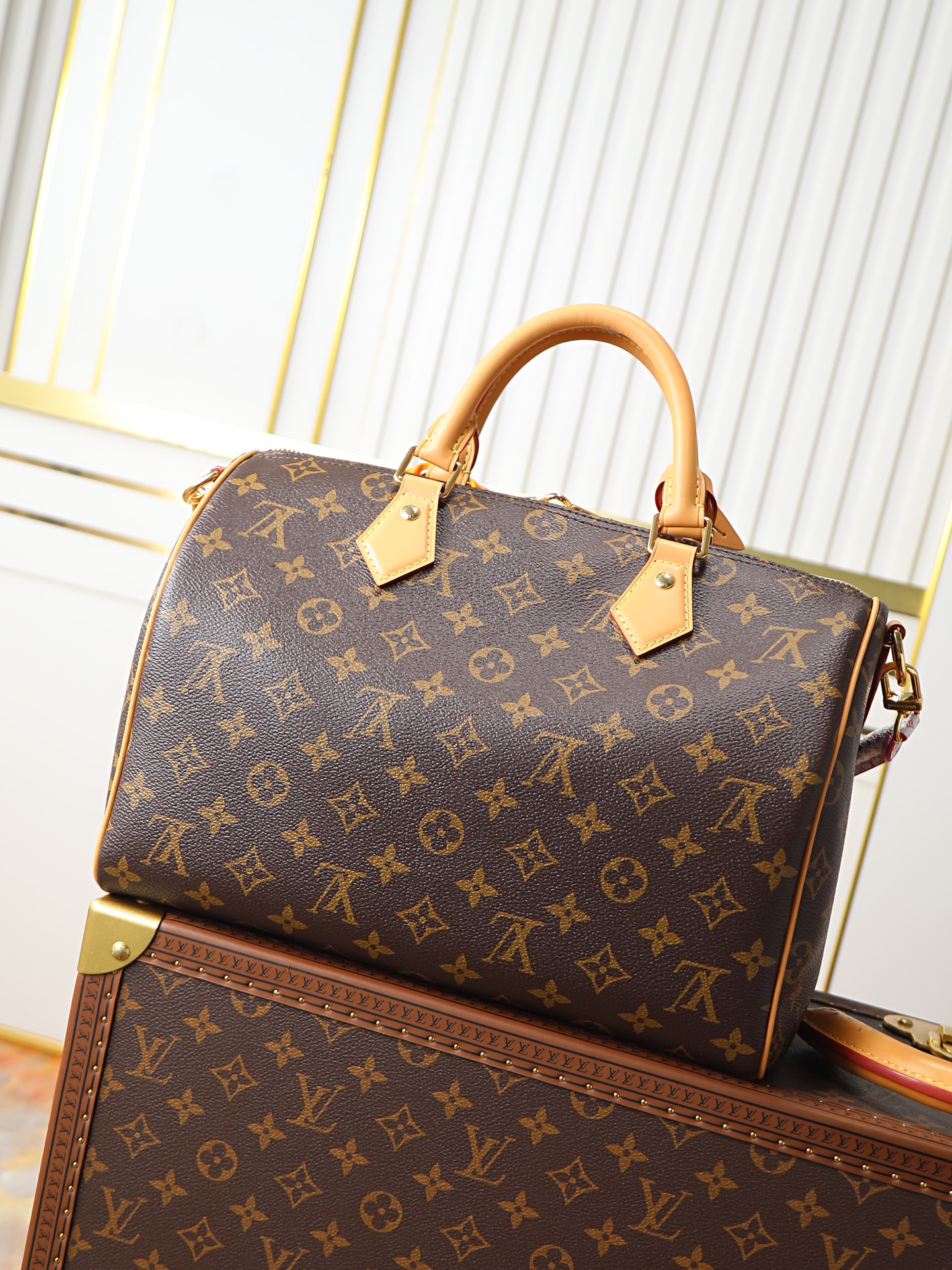 Louis Vuitton Speedy Soft 30 Handbag, Paris À Vélo Series, Model M27512 - Image 3