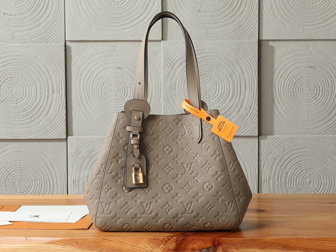 Louis Vuitton All In One Small Handbag - Image 3