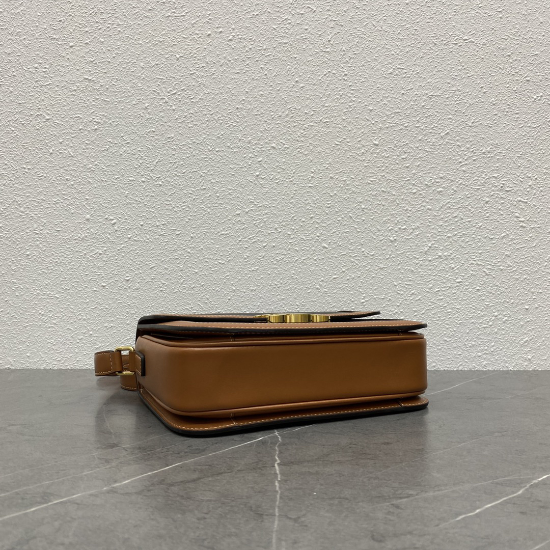 Celine Triomphe Limited-Edition Crossbody Bag - Image 4