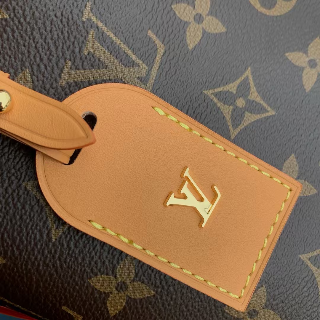 Louis Vuitton CarryAll Small Handbag in Monogram Canvas - Image 4