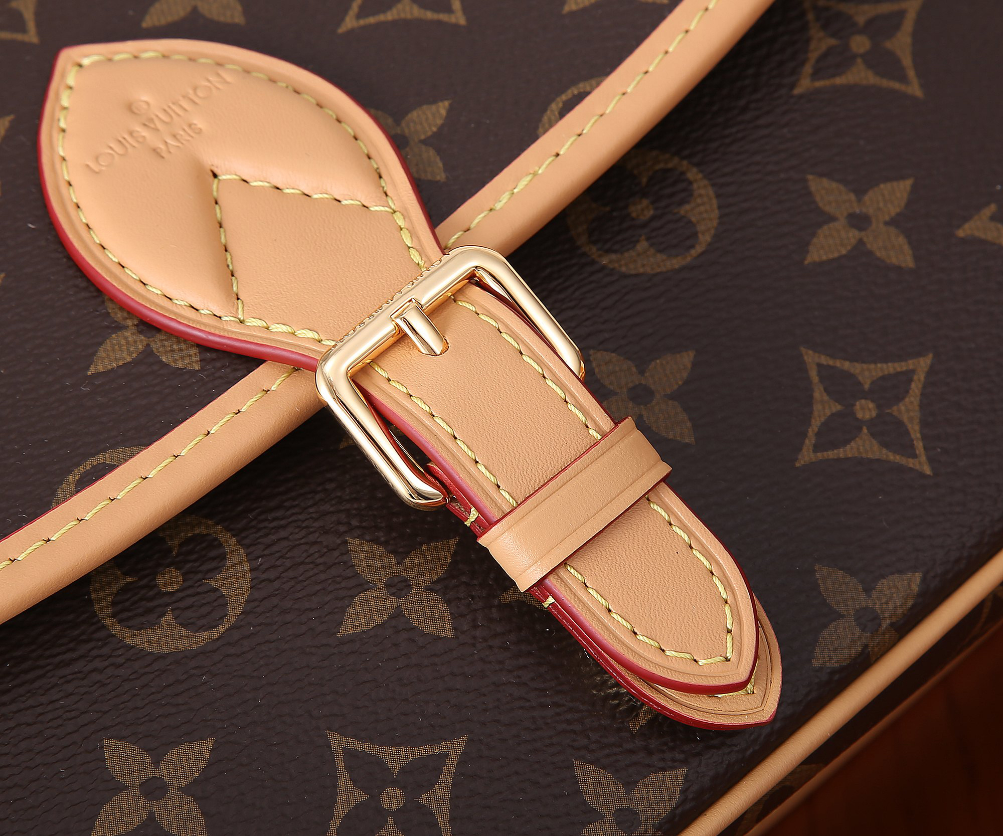 Louis Vuitton Diane Monogram Canvas Shoulder Bag - Image 4
