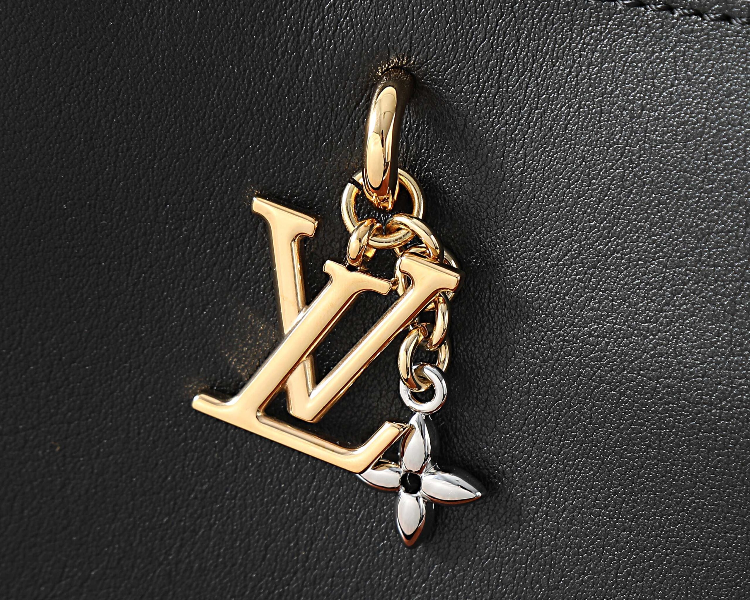 Louis Vuitton Bloom Mini Hobo Bag - Image 4