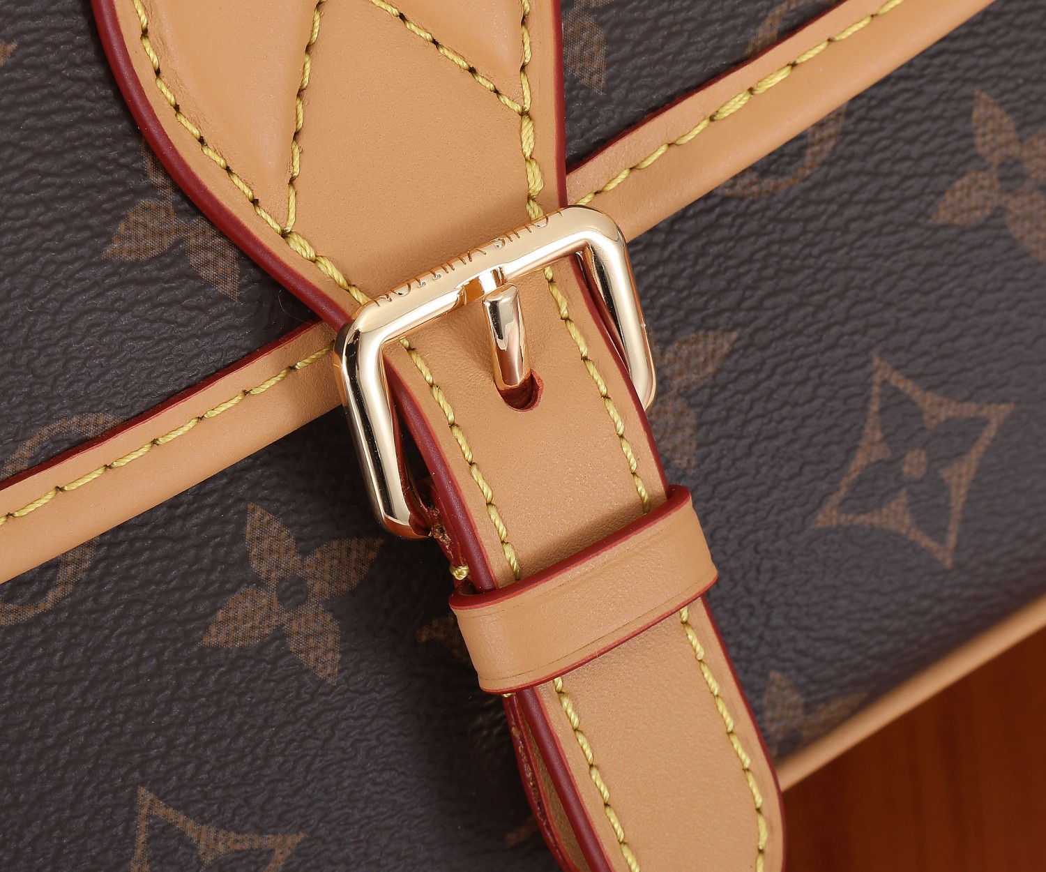 Louis Vuitton Diane Monogram Canvas Shoulder Bag - Image 4