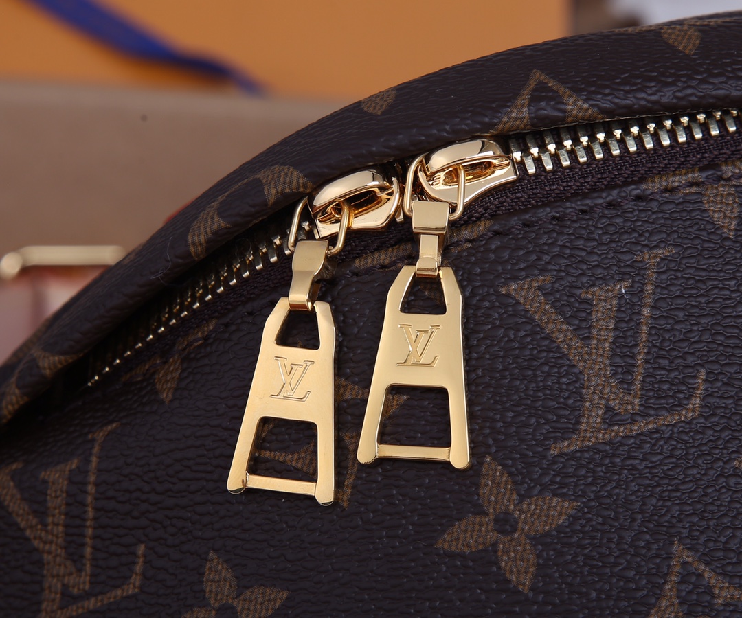 Louis Vuitton Discovery Bumbag M43644 - Image 4