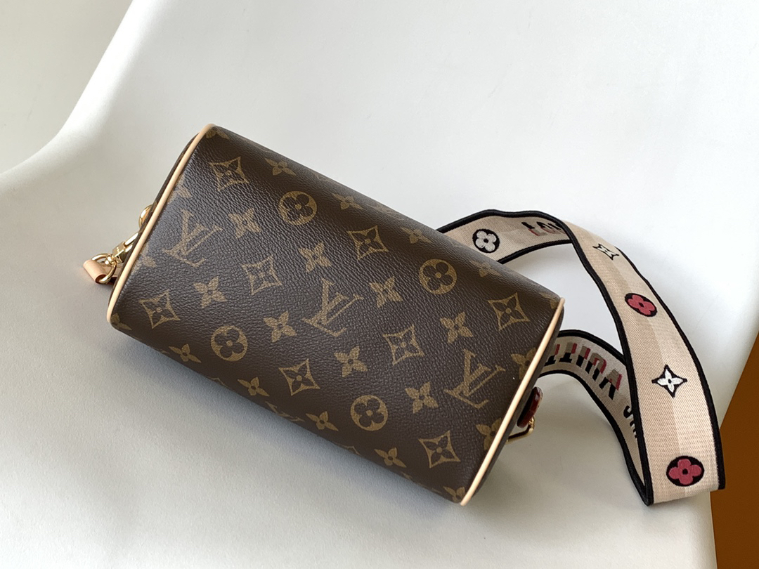 Louis Vuitton Speedy Bandoulière 20 Crossbody Bag in Monogram Canvas - Image 4
