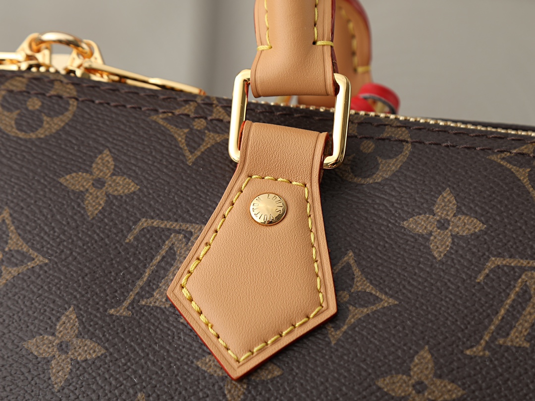 Louis Vuitton Speedy Soft 30 Crafty Handbag - Image 4