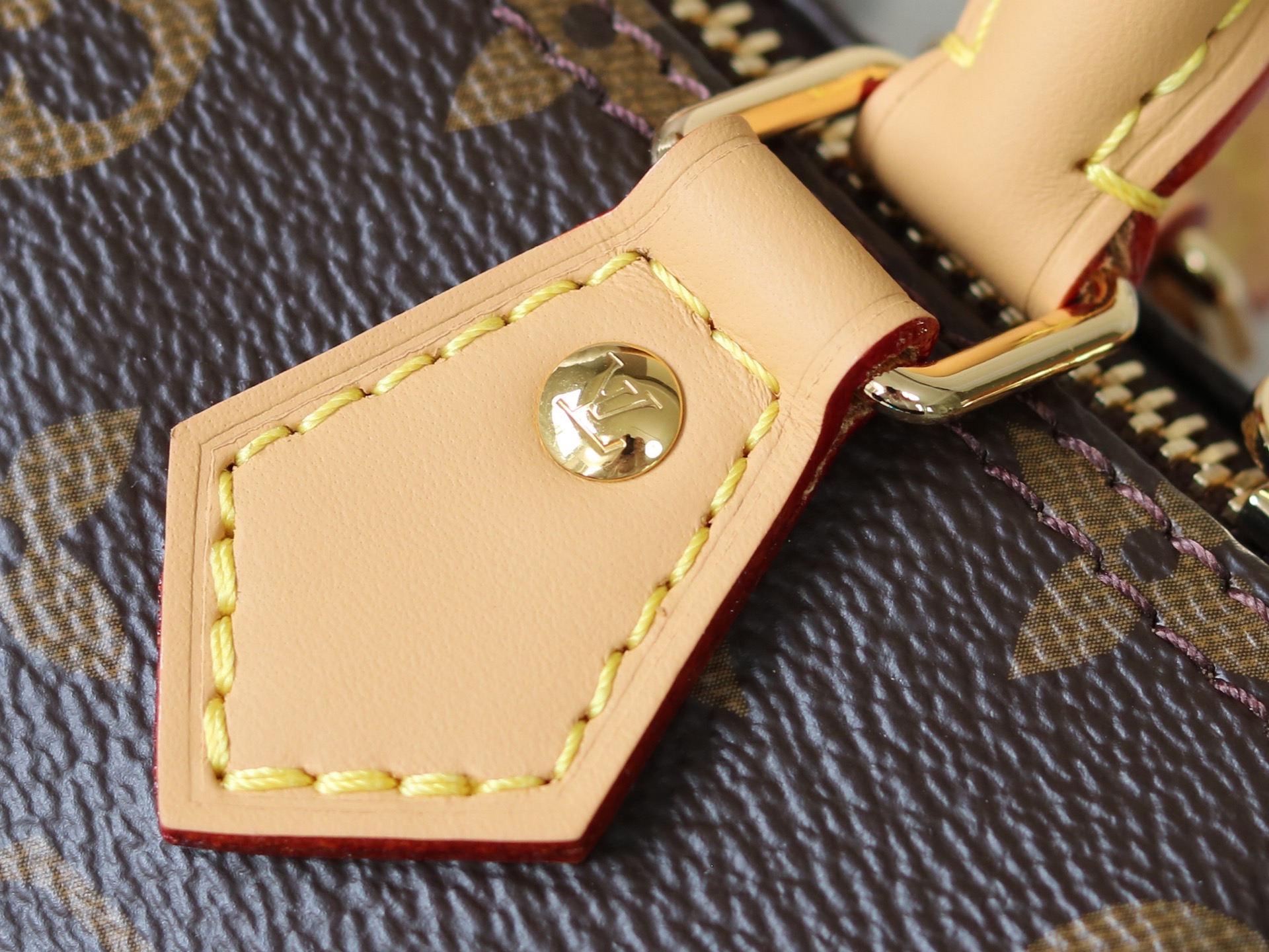 Louis Vuitton Nano Speedy Monogram Crossbody Bag - Image 4