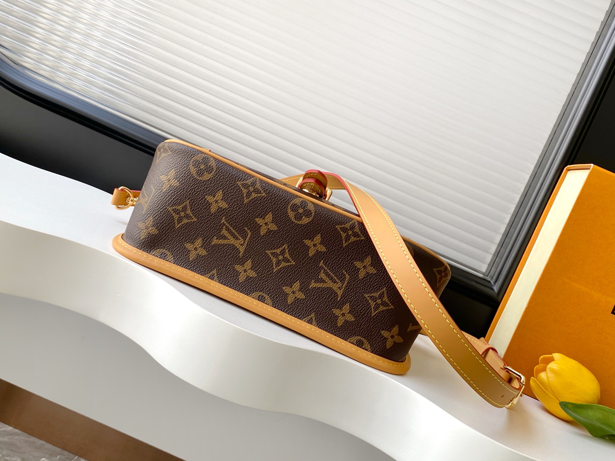 Louis Vuitton Diane Monogram Canvas Shoulder Bag M45985 - Image 4