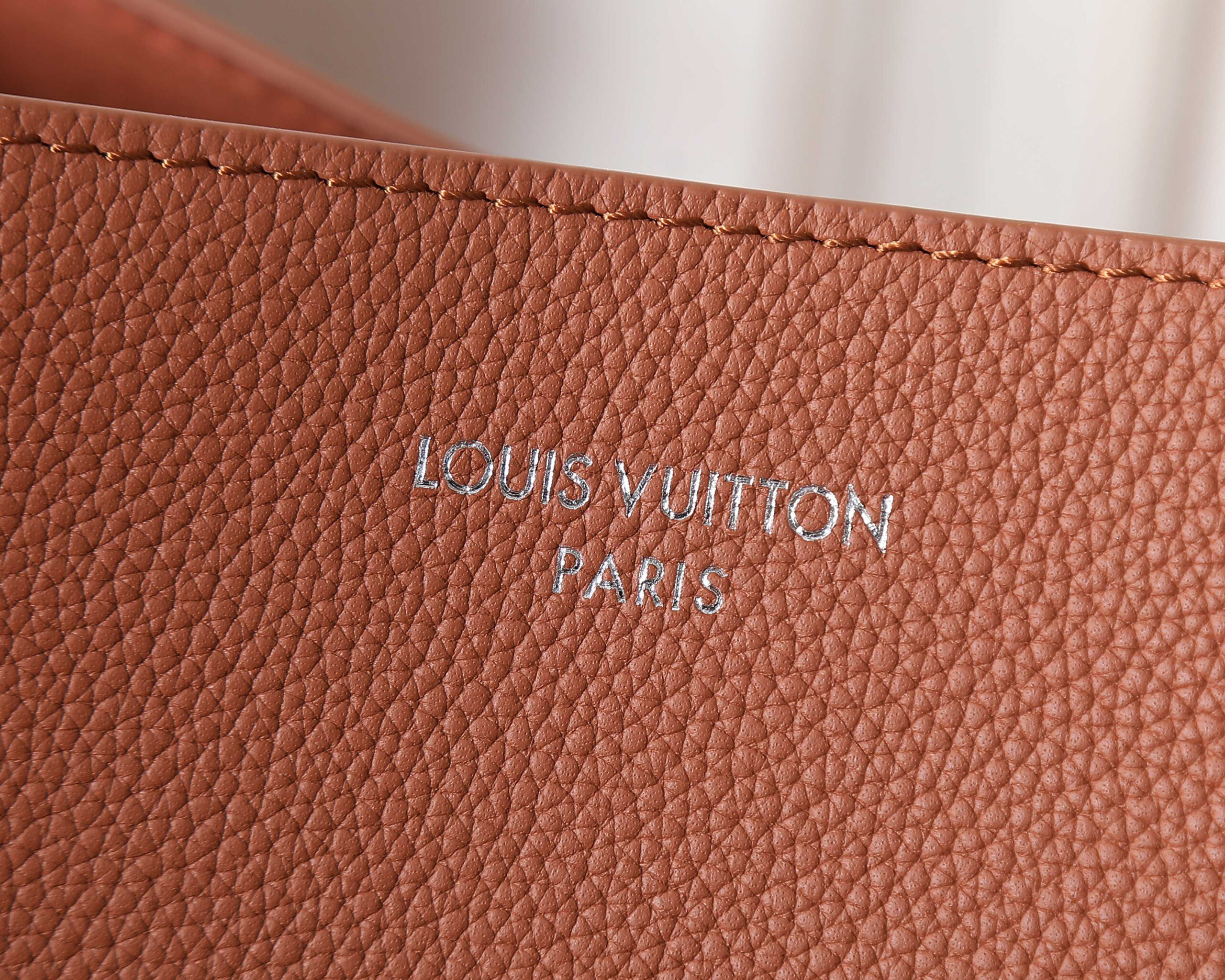 Louis Vuitton Verso Hobo Bag in LV Touch Calfskin - Image 5