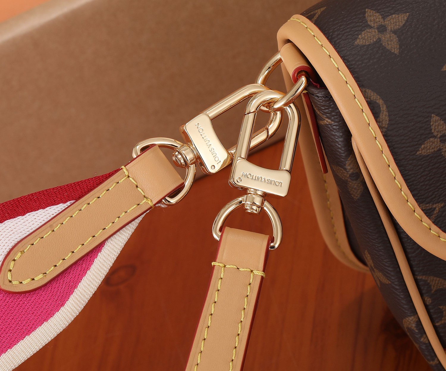 Louis Vuitton Diane Monogram Canvas Shoulder Bag - Image 5