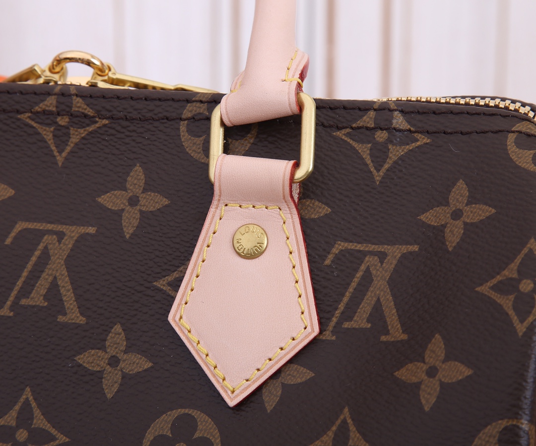 Louis Vuitton Speedy 25 Monogram Handbag - Image 5