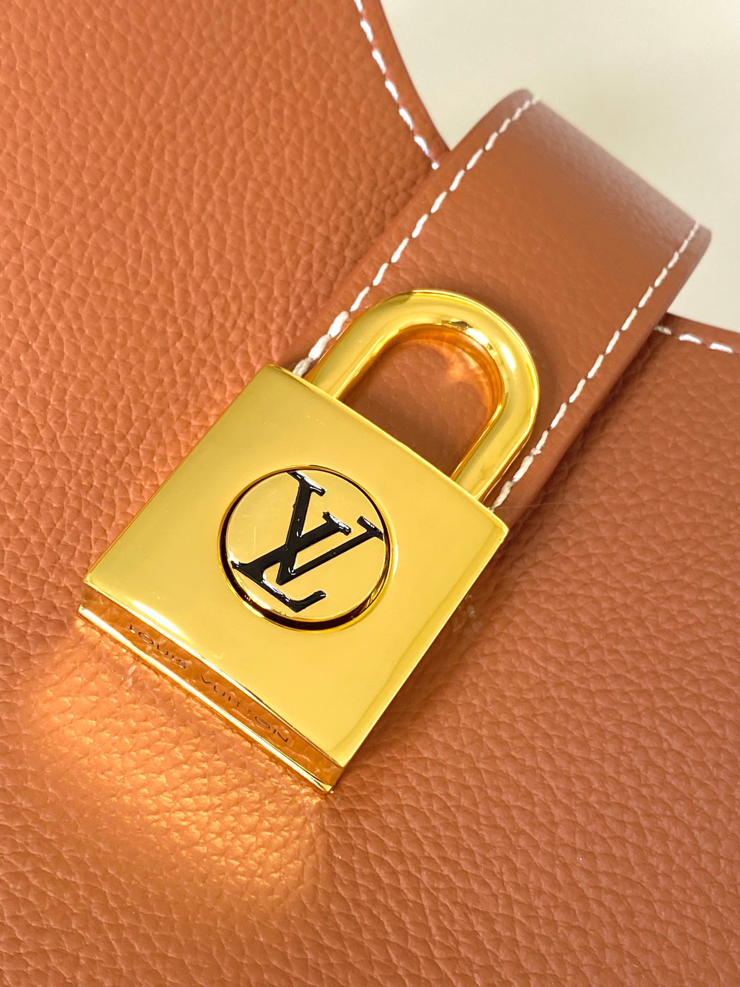 Louis Vuitton M24611 Leather Shoulder Bag - Image 5