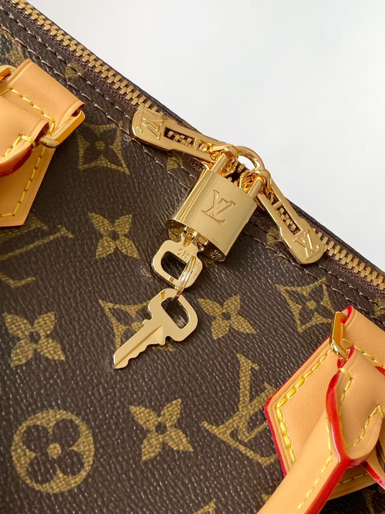 Speedy Soft 30 Boho Handbag in Bird-Motif Monogram Canvas - Image 5